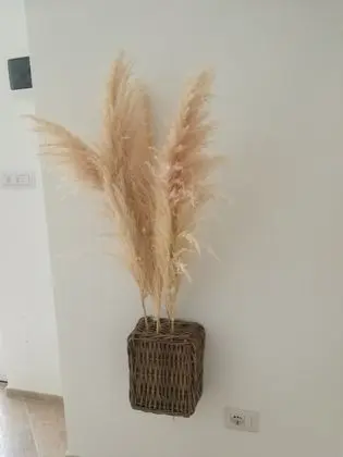 Apart Daire, Bahçeli (Ulivo)