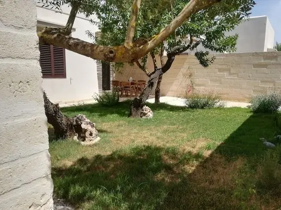 Apart Daire, Bahçeli (Ulivo)