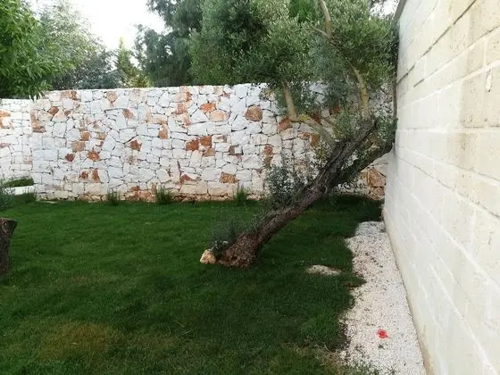 Apart Daire, Bahçeli (Ulivo)