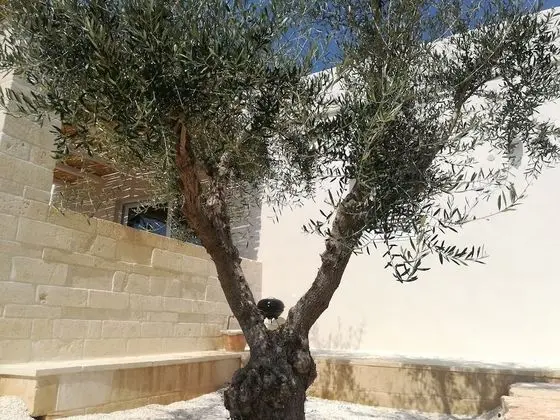 Comfort Apart Daire, Bahçeli (Prugno)