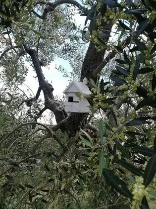 Comfort Apart Daire, Bahçeli (Prugno)