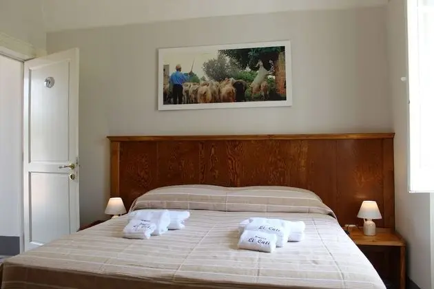 Tek Büyük Yataklı Oda