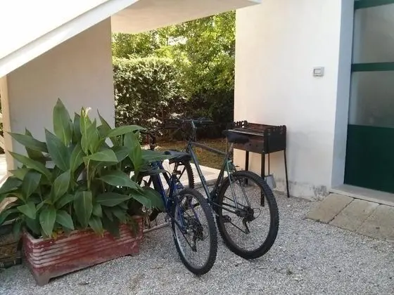 Apart Daire, 1 Yatak Odası, Teras