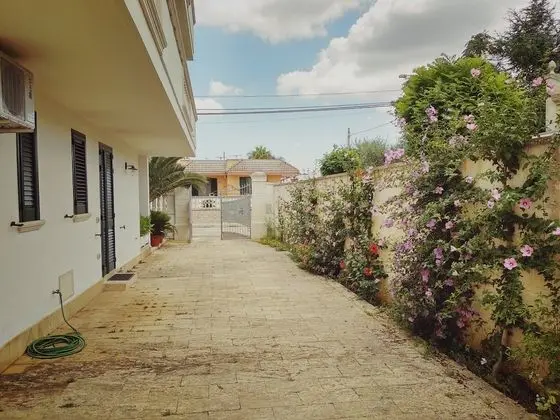 Apart Daire, 1 Yatak Odası, Teras