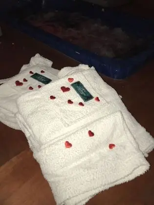 Luxury Apart Daire, 1 Yatak Odası, Sauna