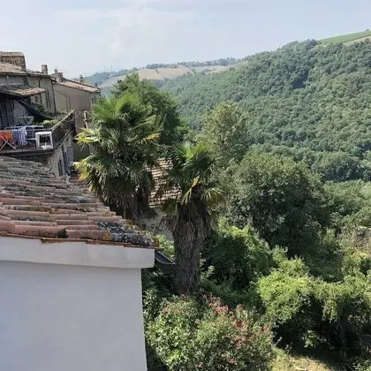 Elite Tek Büyük Yataklı Oda