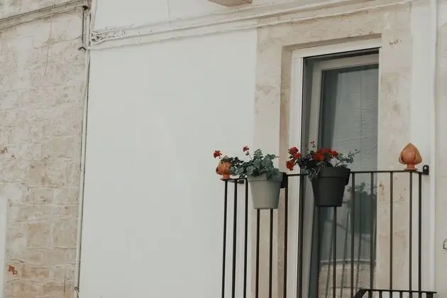 Stüdyo