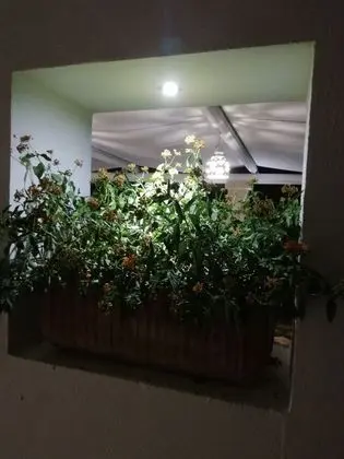 Deluxe Dört Kişilik Oda (Leonardo Da Vinci)