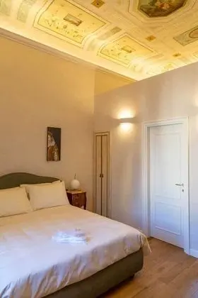 Comfort Oda (Degli Artisti)