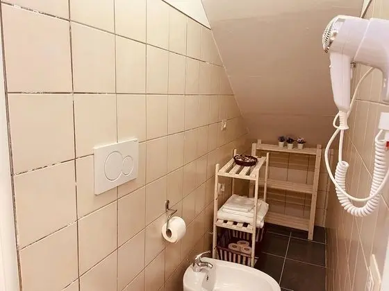 Premium Süit, Banyolu/Duşlu, Şehir Manzaralı (Suite Carlotta)