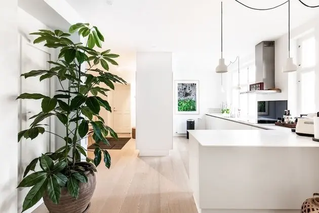 Luxury Apart Daire, 3 Yatak Odası, 2 Banyolu, Avlu