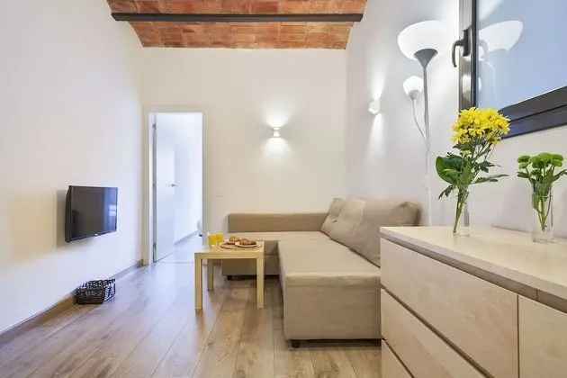 Apart Daire, 2 Yatak Odası (4 people)
