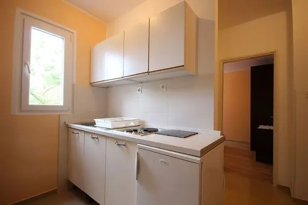 Apart Daire (Dino - apartments with hot tub - A4(2)