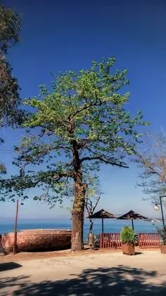 Tek Büyük veya İki Ayrı Yataklı Oda, Balkon, Deniz Manzaralı