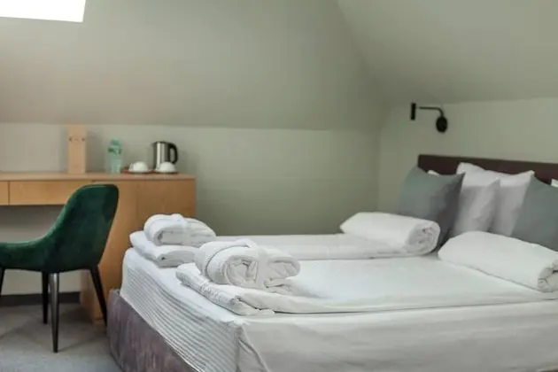 Standard Tek Büyük veya İki Ayrı Yataklı Oda, 1 Yatak Odası