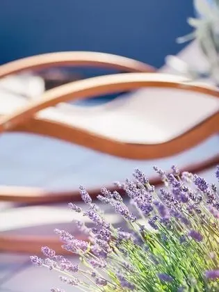 Süit, Teras