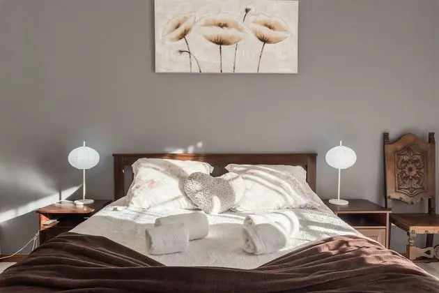 Comfort Tek Büyük Yataklı Oda, 1 Çift Kişilik Yatak, Özel Banyo