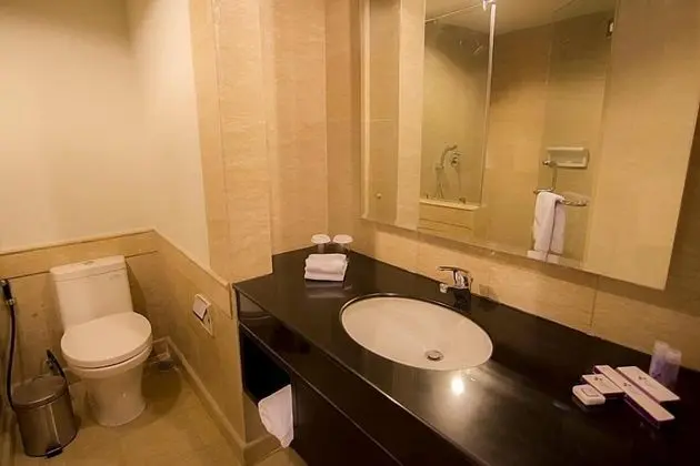 Deluxe Oda, 1 En Büyük (King) Boy Yatak, Sigara İçilmez, Şehir Manzaralı