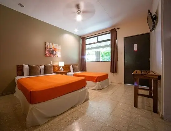 Standard Oda, 1 Yatak Odası, Sigara İçilmez