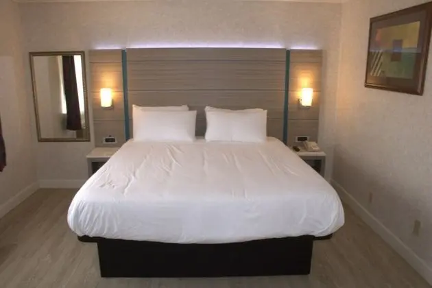 Deluxe Tek Kişilik Oda, 1 En Büyük (King) Boy Yatak, Engellilere Uygun