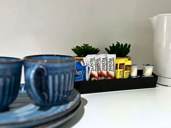 Standard Tek Büyük Yataklı Oda, 1 Çift Kişilik Yatak, Banyolu/Duşlu