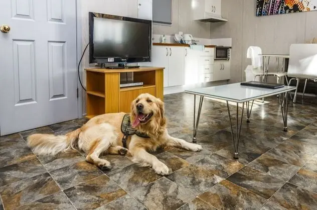 Standard Kulübe, 2 Yatak Odası (Sleeps 5 Pet Friendly)