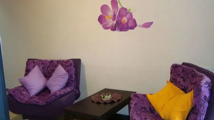 Apart Daire, 1 En Büyük (King) Boy Yatak, Buzdolabı ve Mikrodalga, Şehir Manzaralı