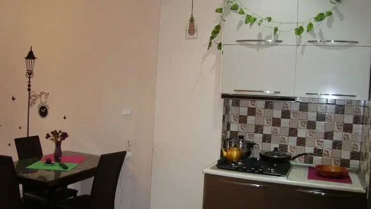 Apart Daire, 1 En Büyük (King) Boy Yatak, Buzdolabı ve Mikrodalga, Şehir Manzaralı