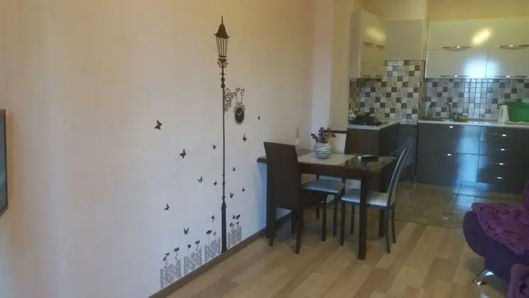 Apart Daire, 1 En Büyük (King) Boy Yatak, Buzdolabı ve Mikrodalga, Şehir Manzaralı