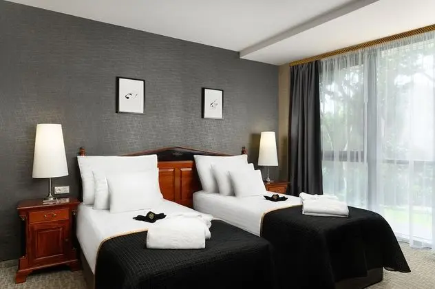 Deluxe Plus room