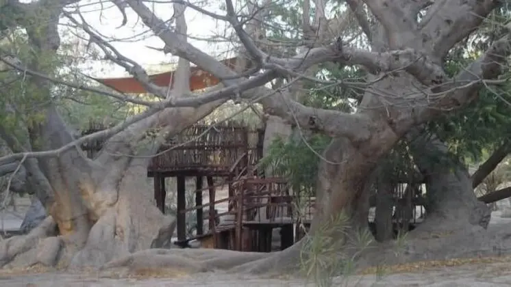 Standard Bungalov