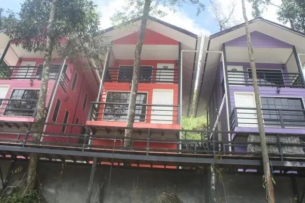 Kır Evi (Noah)