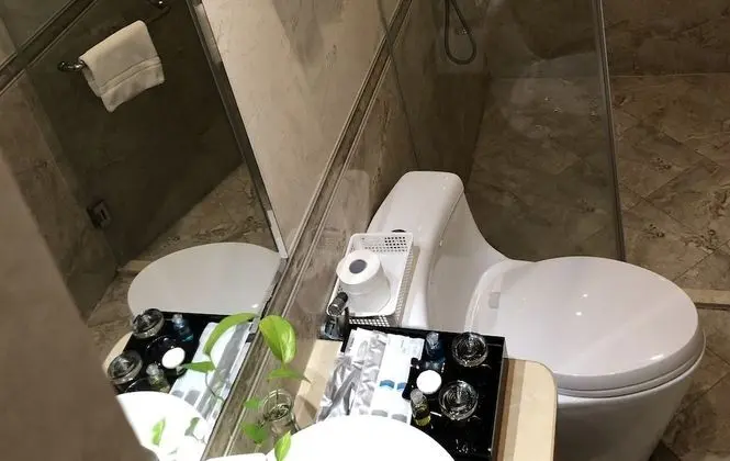 Deluxe Tek Büyük Yataklı Oda, 1 En Büyük (King) Boy Yatak, Şehir Manzaralı