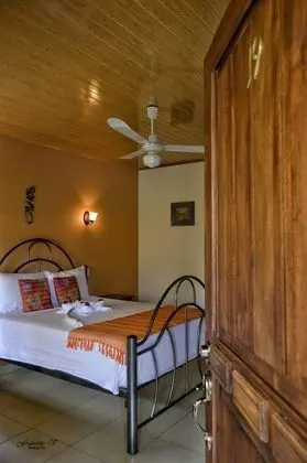 Standard Tek Büyük Yataklı Oda, 1 Büyük (Queen) Boy Yatak, Engellilere Uygun, Bahçe Manzaralı