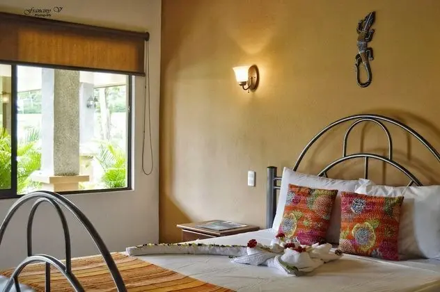 Standard Tek Büyük Yataklı Oda, 1 Büyük (Queen) Boy Yatak, Engellilere Uygun, Bahçe Manzaralı