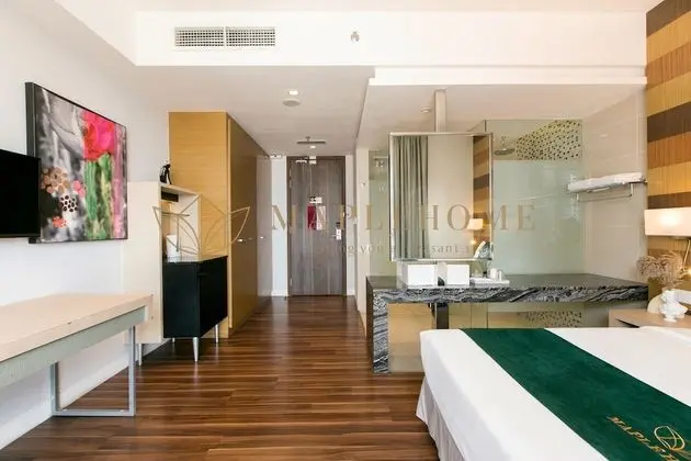 Deluxe Stüdyo Süit, 1 En Büyük (King) Boy Yatak, Sigara İçilmez