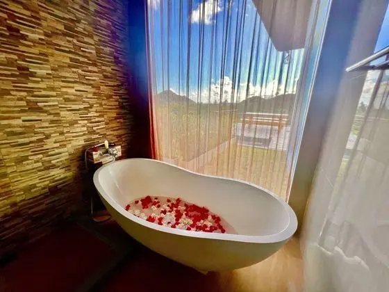 Luxury Villa