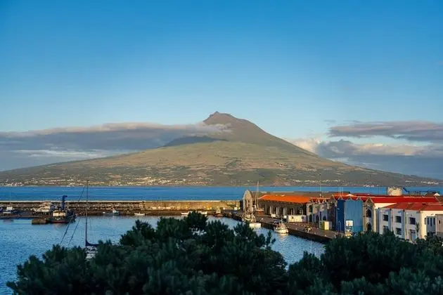 Tek Büyük veya İki Ayrı Yataklı Oda (Pico View)