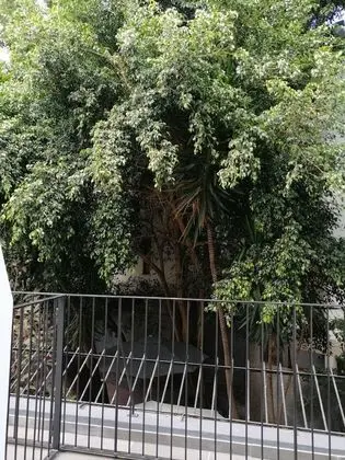 Classic Oda, Balkon