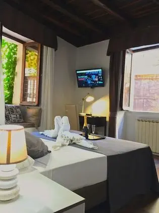 Superior Tek Büyük Yataklı Oda, 1 Yatak Odası, Küçük Mutfak, Şehir Manzaralı