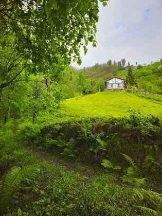 Aile Odası, Doğa Manzaralı, Şömineli ve Jakuzili