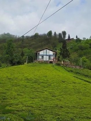 Aile Odası, Doğa Manzaralı, Şömineli ve Jakuzili