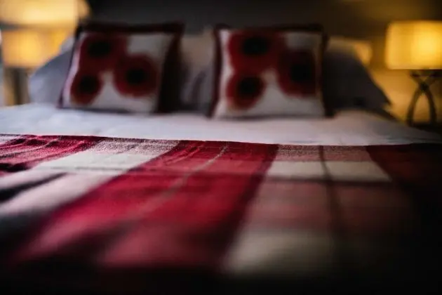 Traditional Dubleks, Birden Çok Yatak, Sigara İçilmez