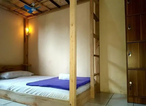 Bed in 4 Bed Female Dormitory Room