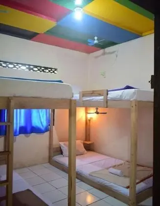 Bed in 4 Bed Female Dormitory Room