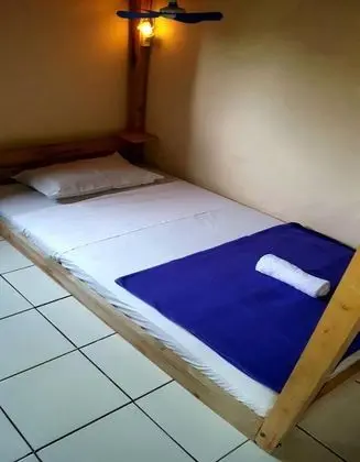 Bed in 4 Bed Female Dormitory Room