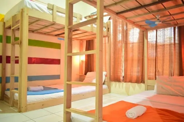 Bed in 4 Bed Male Dormitory Room