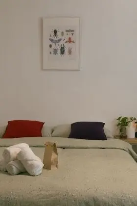 Basic Tek Büyük Yataklı Oda