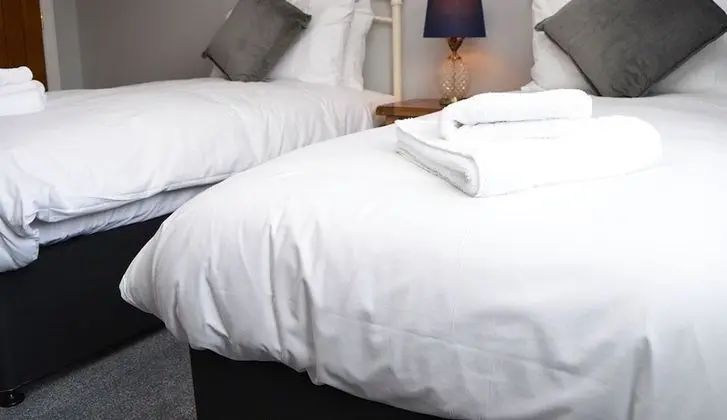 Deluxe İki Ayrı Yataklı Oda, Banyolu/Duşlu