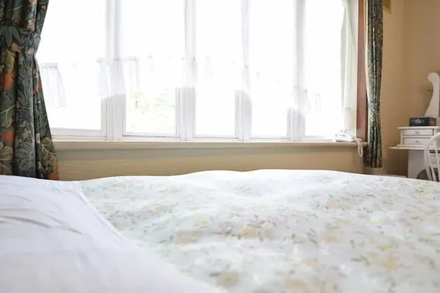 Standard İki Ayrı Yataklı Oda (Pet Friendly)
